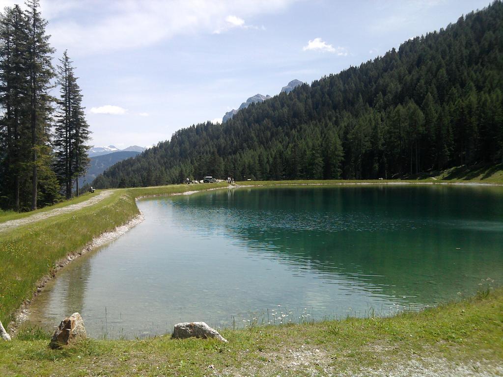 Hotel Almhof Neustift im Stubaital Bagian luar foto