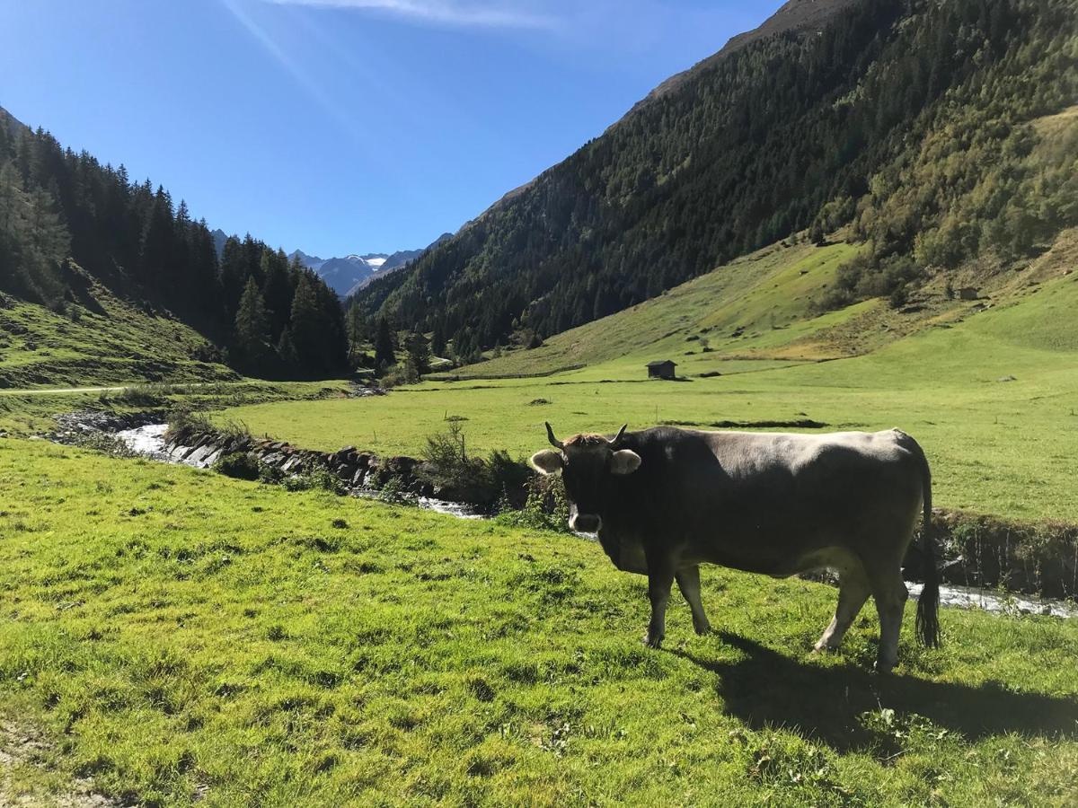 Hotel Almhof Neustift im Stubaital Bagian luar foto